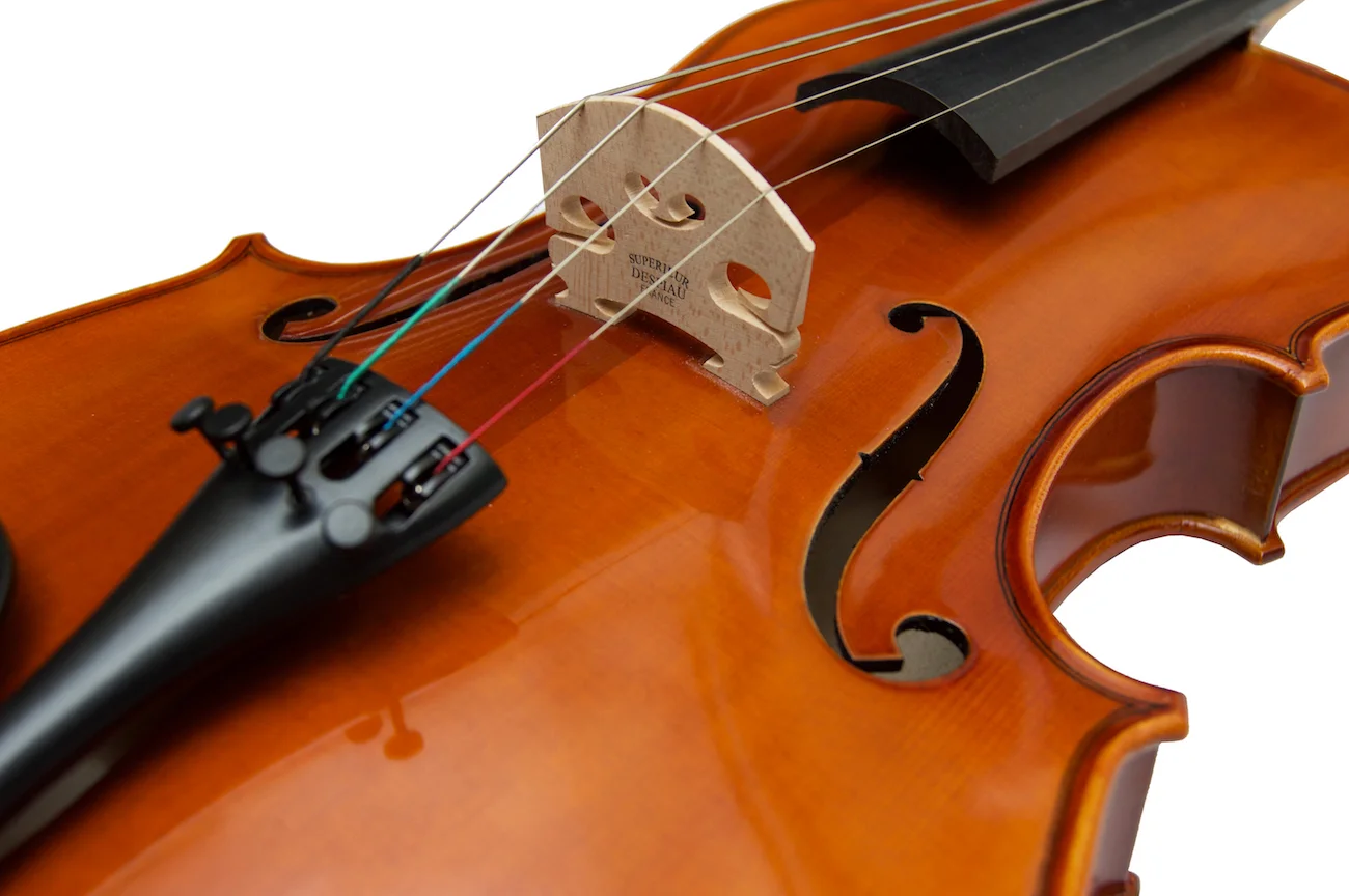 Westbury viola - close.jpg