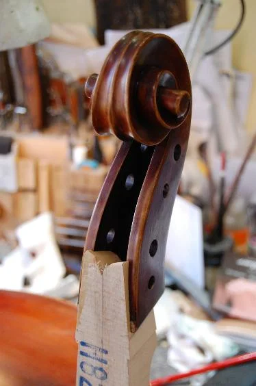 Carve away excess wood from peg box.
