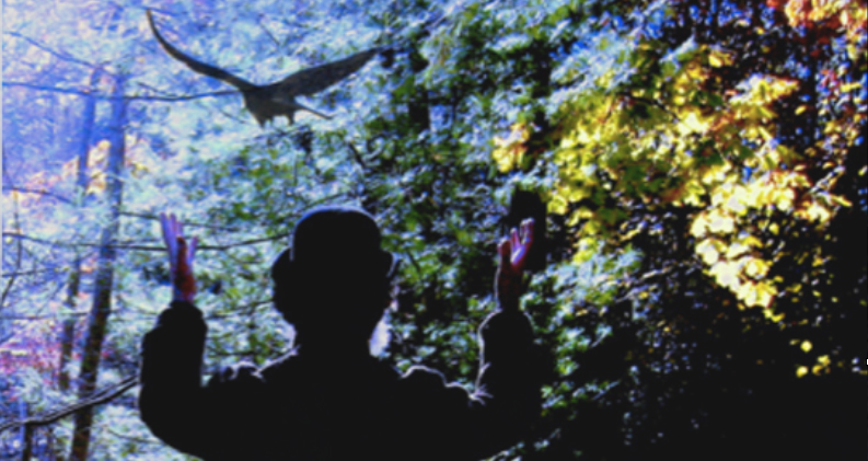 BlessingBanner2.jpg