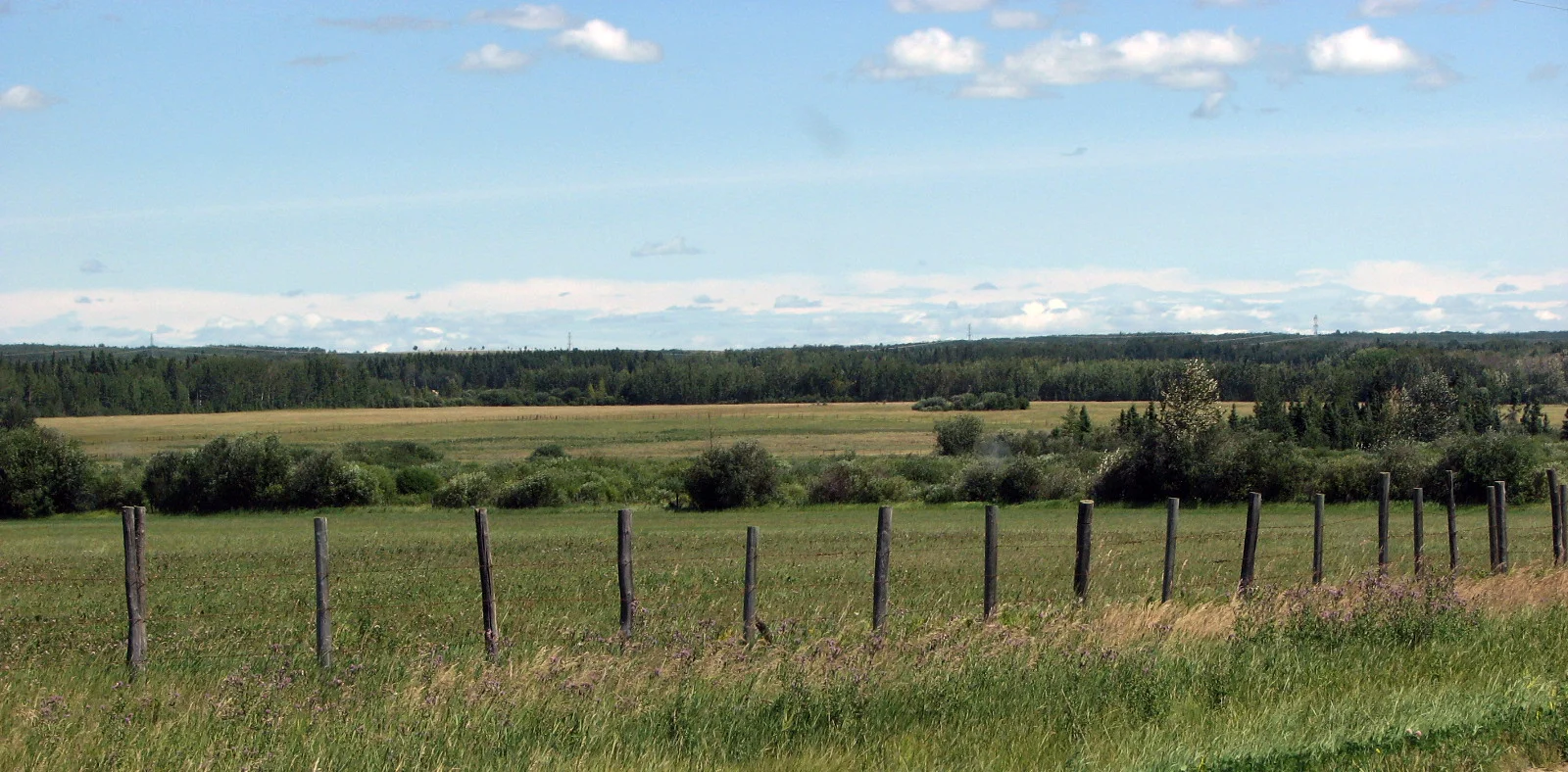 Grasslands.jpg