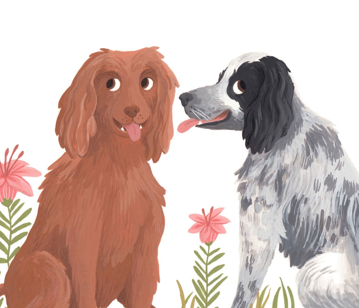 04 Pet Portrait.jpg