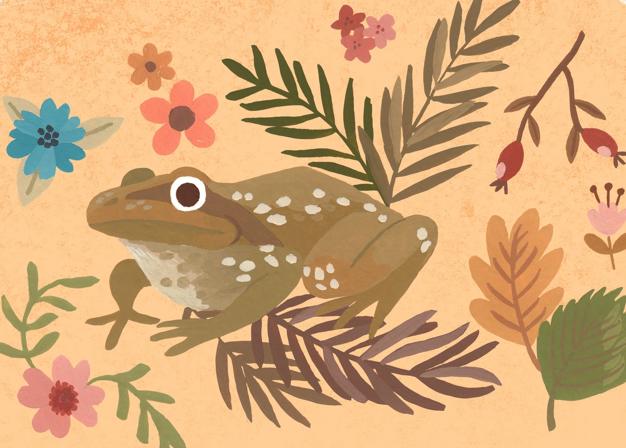 Frog.jpg