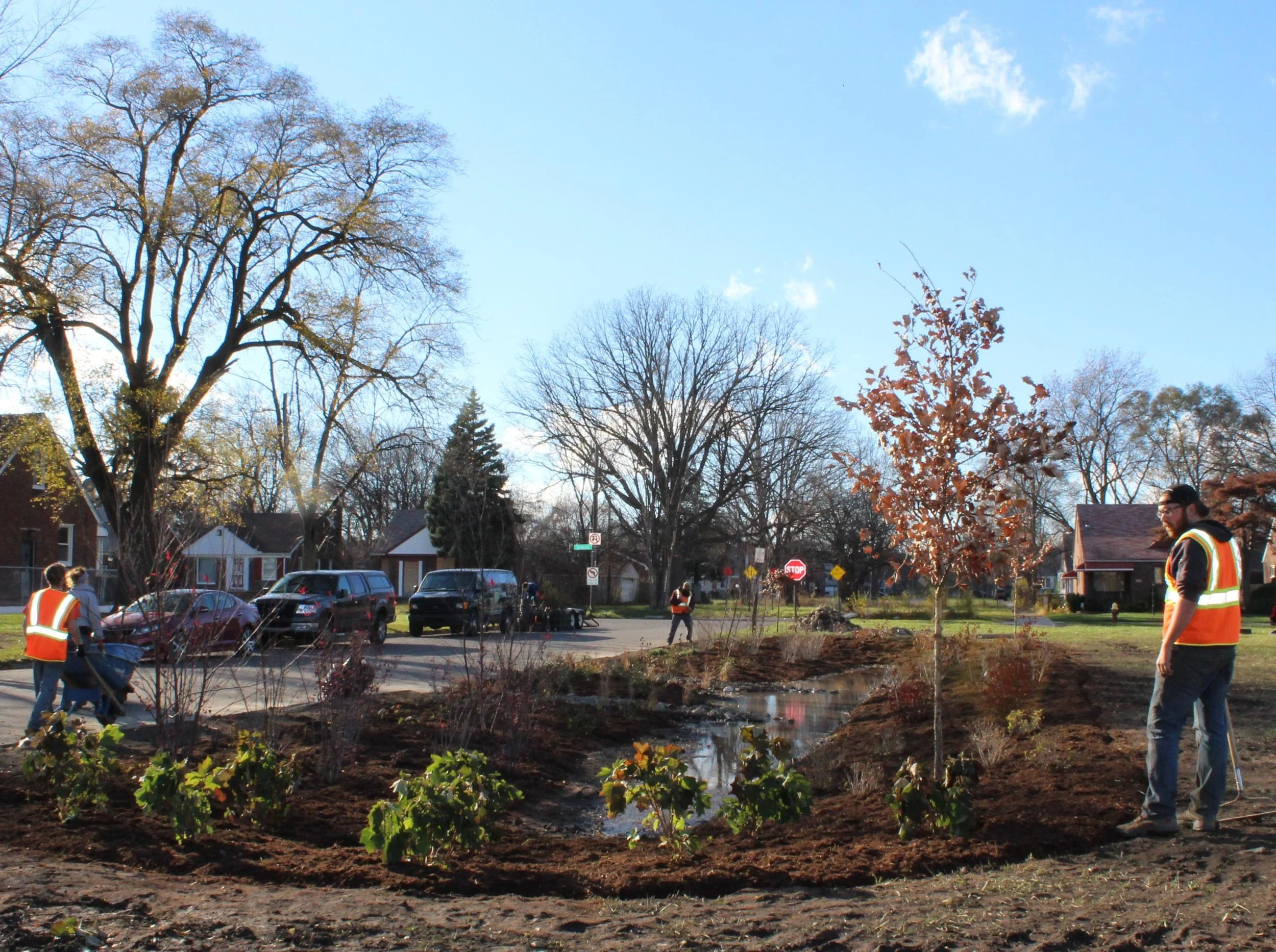bioswale stein park.jpg