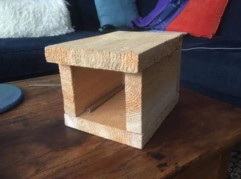 Build a Native Bee House
