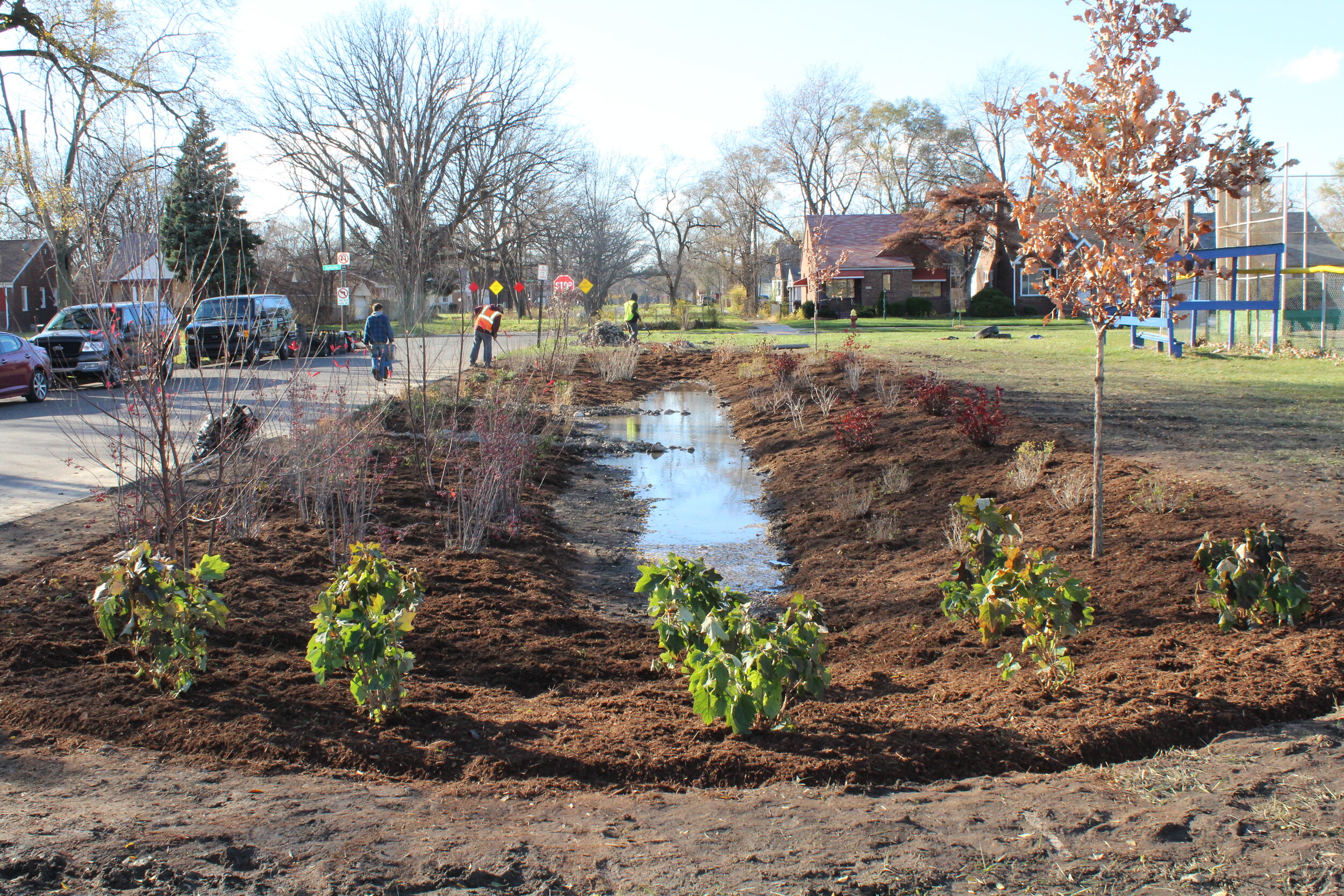 Stein Park Bioswale