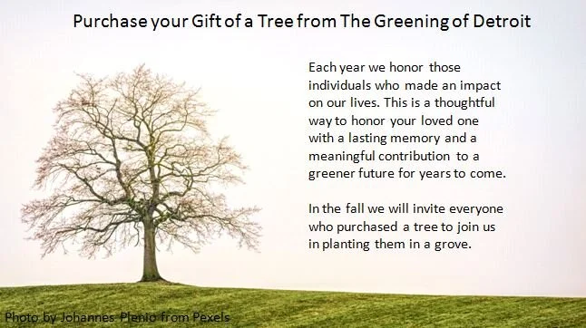 Gift of a Tree