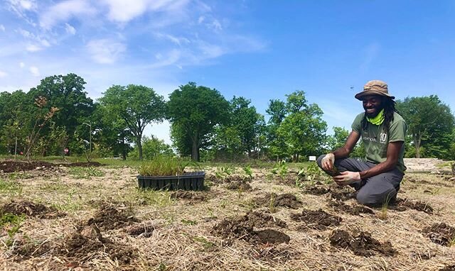 This spring, we&rsquo;ve been having fun planting lots of trees, shrubs, and plugs around the new marshland area in Chandler Park! Stay tuned for project updates and different plants to check out around the park 🌱☀️