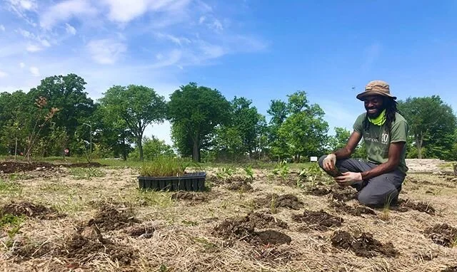 This spring, we&rsquo;ve been having fun planting lots of trees, shrubs, and plugs around the new marshland area in Chandler Park! Stay tuned for project updates and different plants to check out around the park 🌱☀️