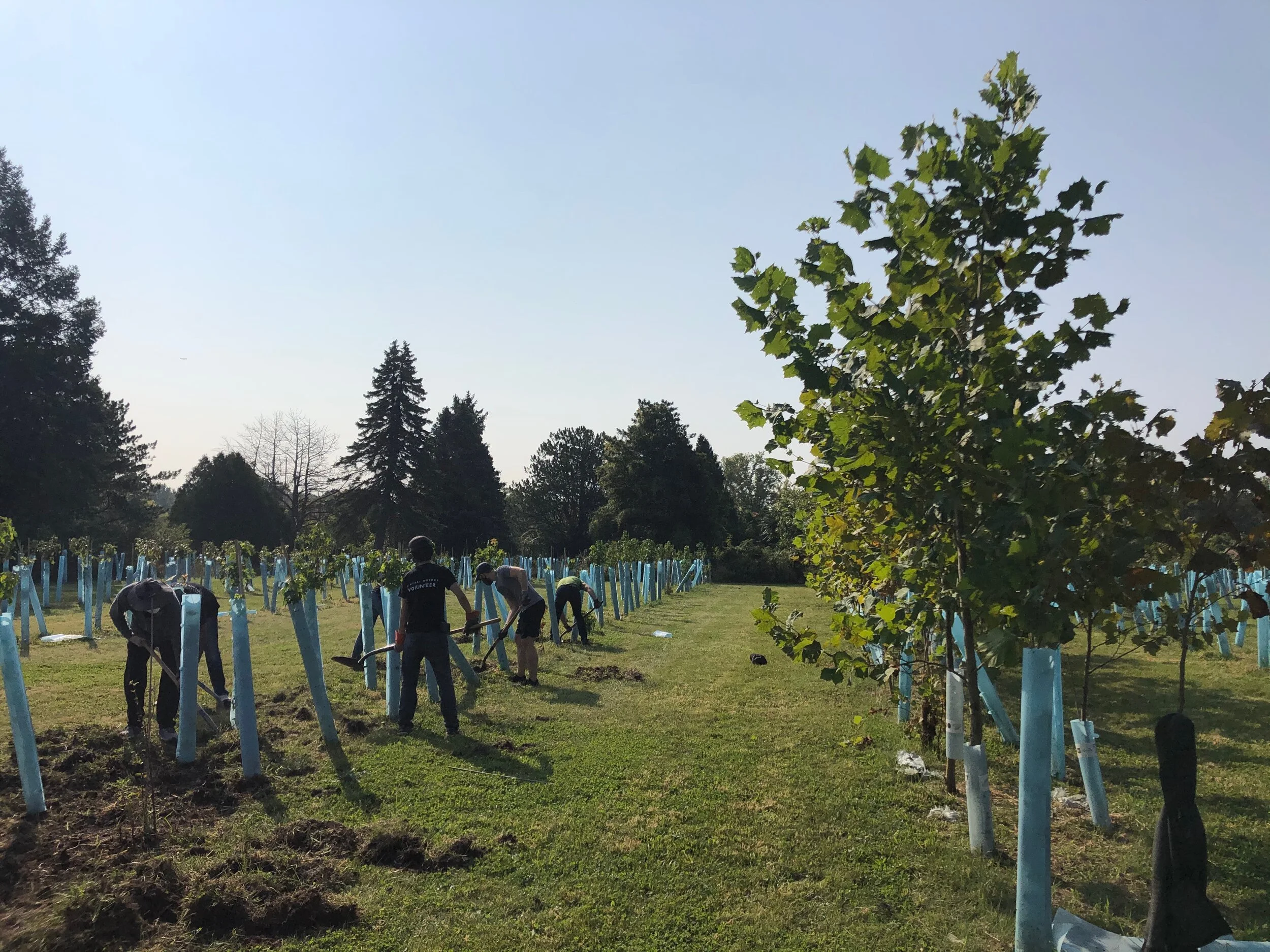 Walter Meyers Nursery Maintenance  