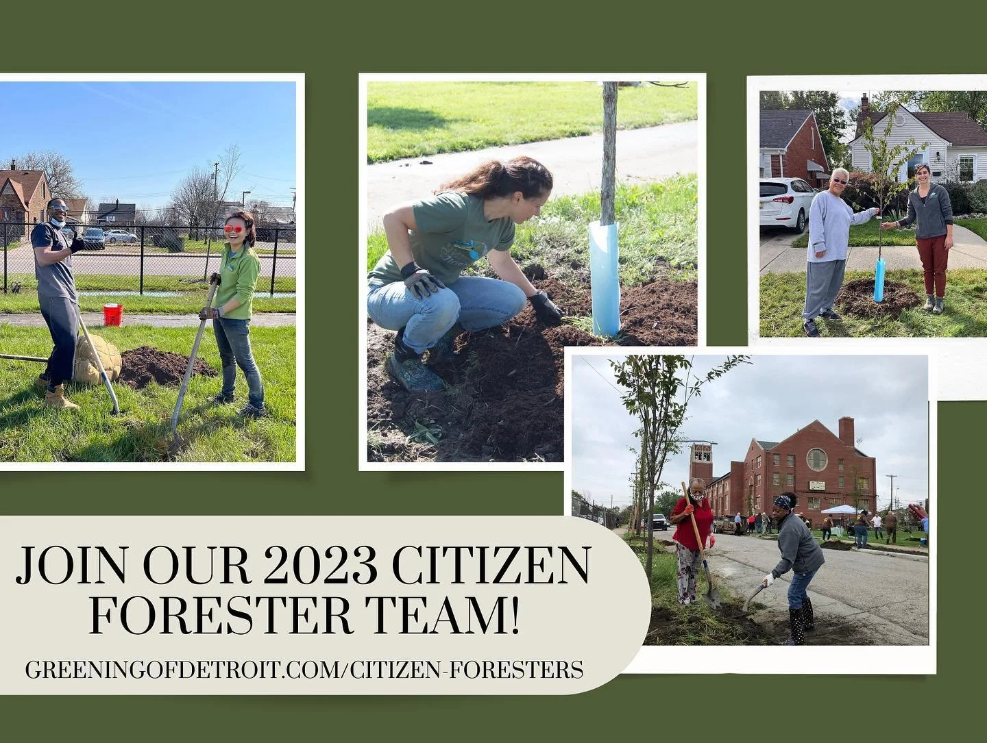 Citizen Forester Pruning Workshop