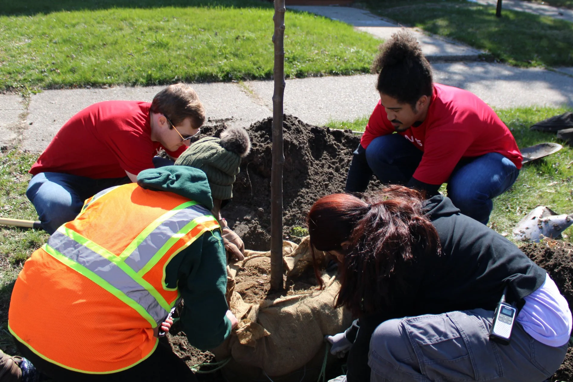 Detroit Community Tree Planting