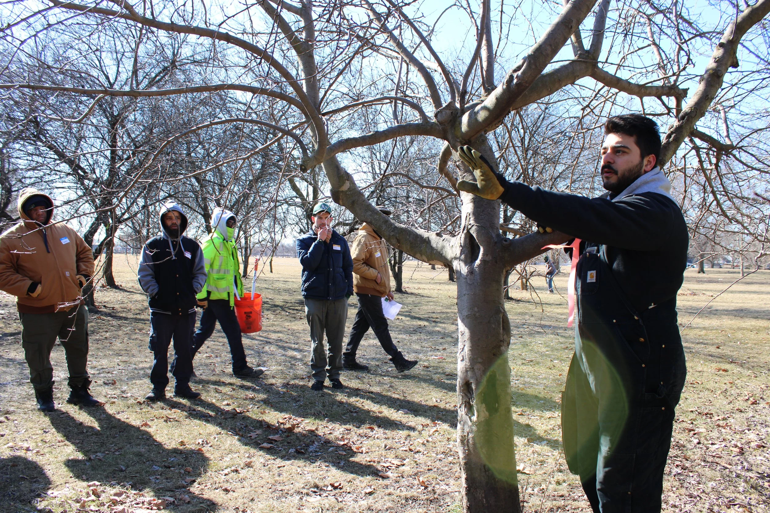 Citizen Forester Pruning Workshop