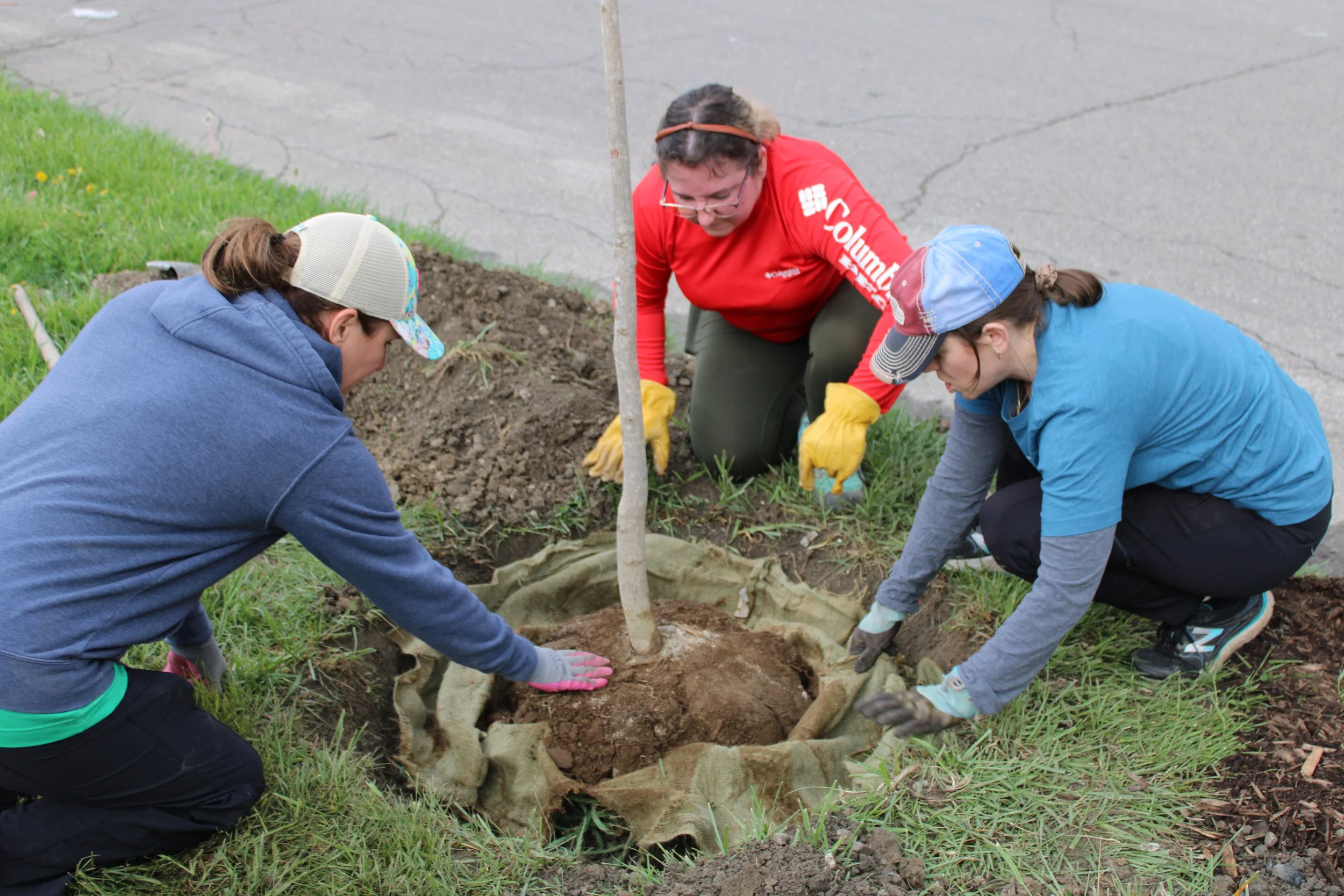 Gmeiner Park &amp; Neighborhood Community Tree Planting