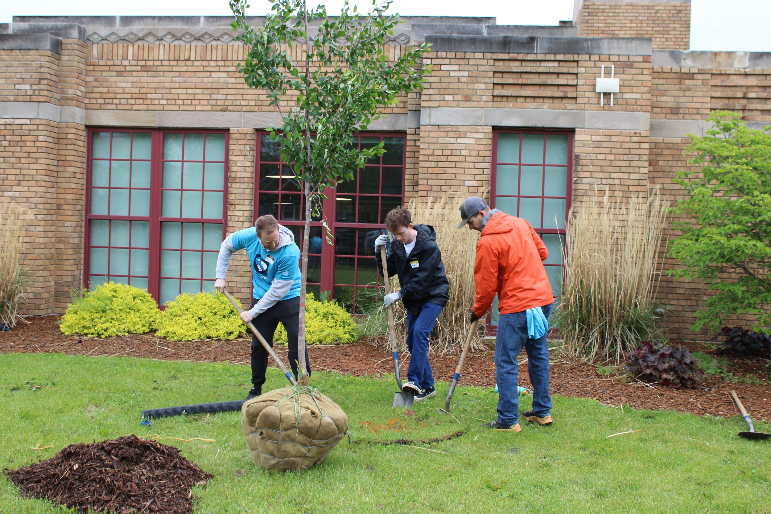 McDuffy Park/Piety Hill Community Tree Planting
