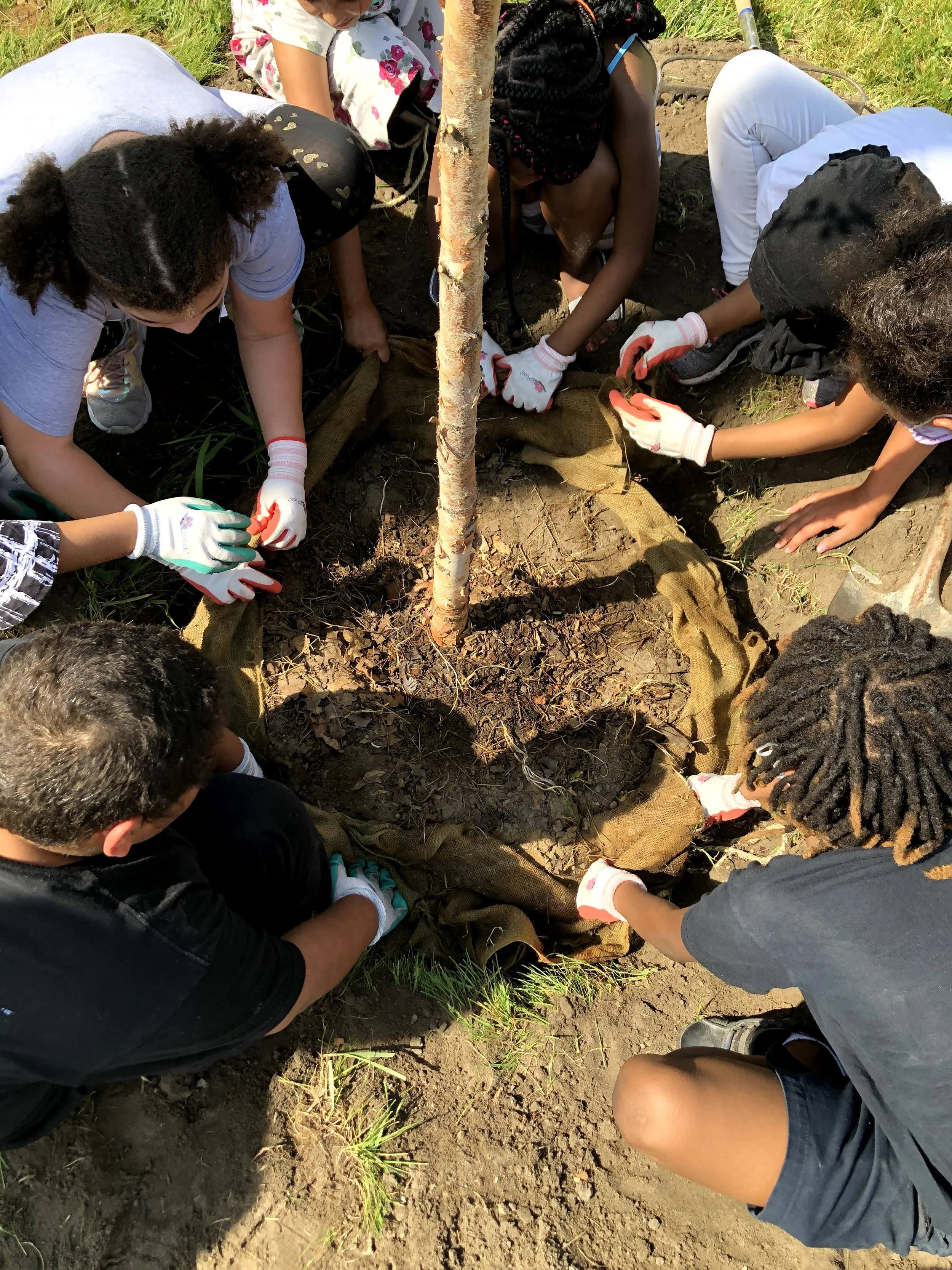 North End Neighborhood Community Tree Planting