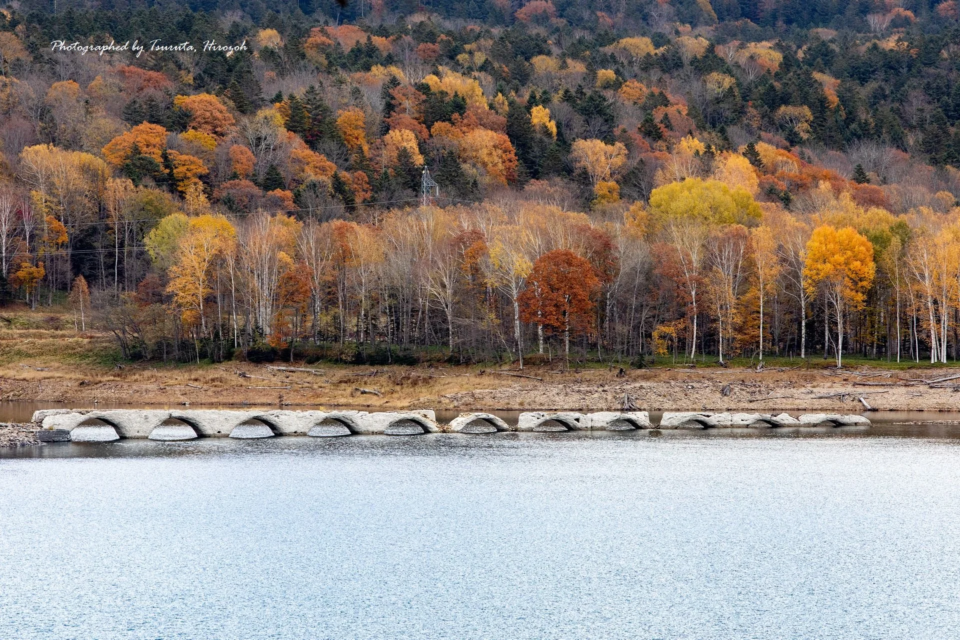 _IMG_1027.jpg
