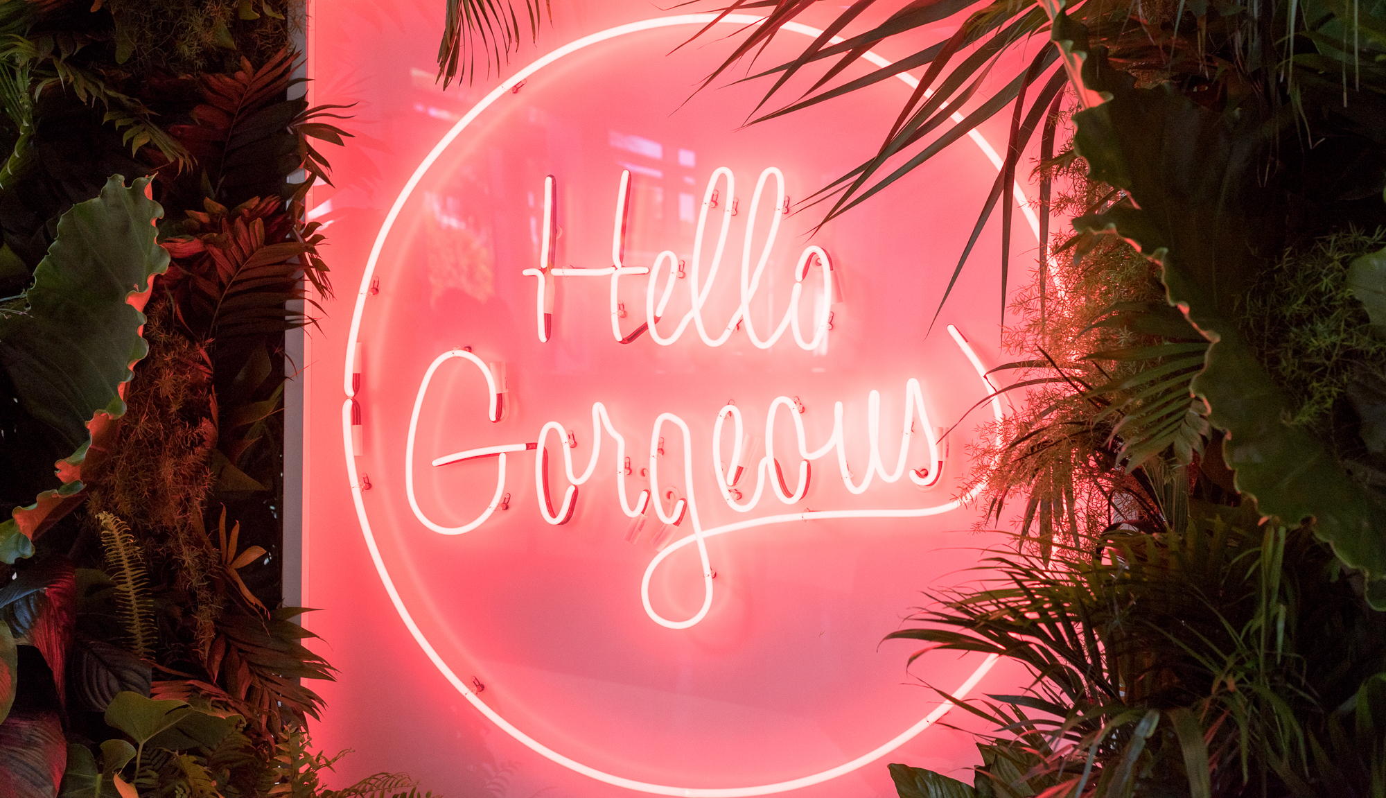 neonsign.jpg