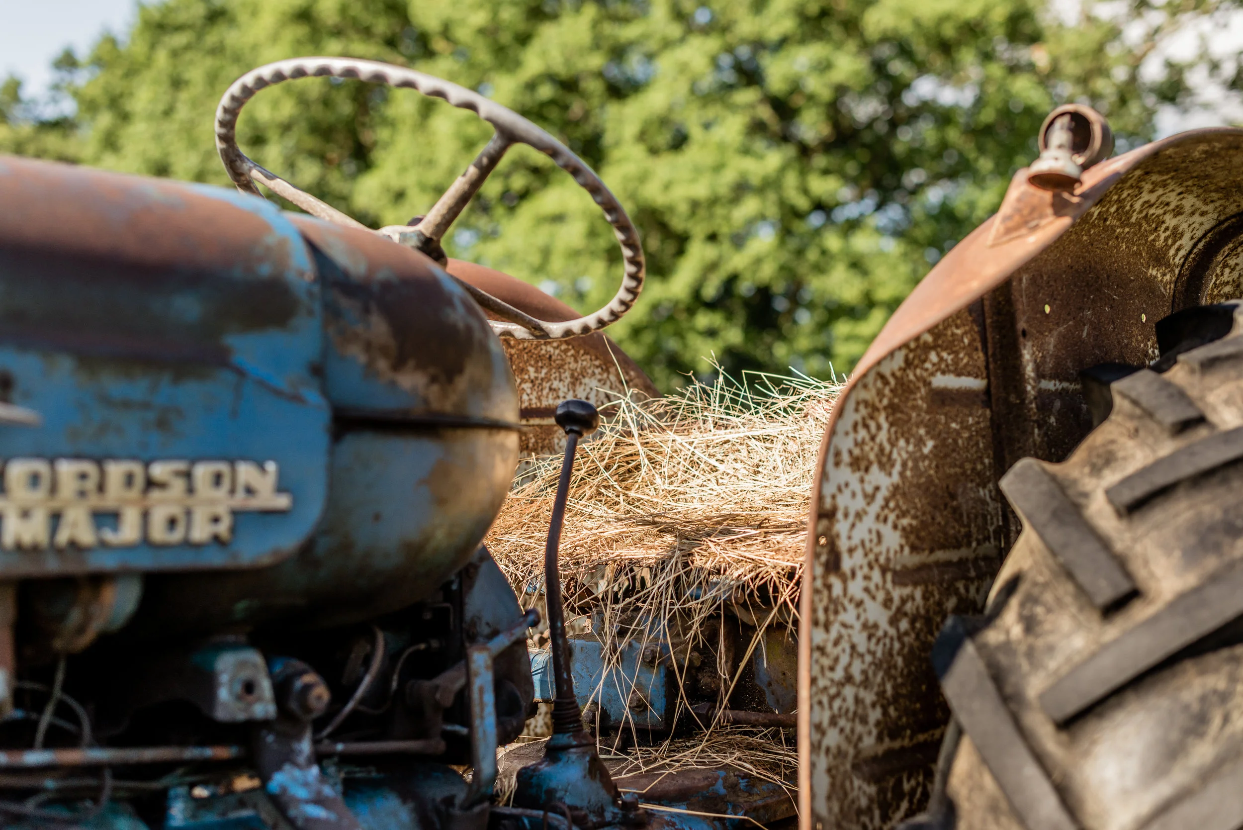 Cranleigh Show-8079.jpg