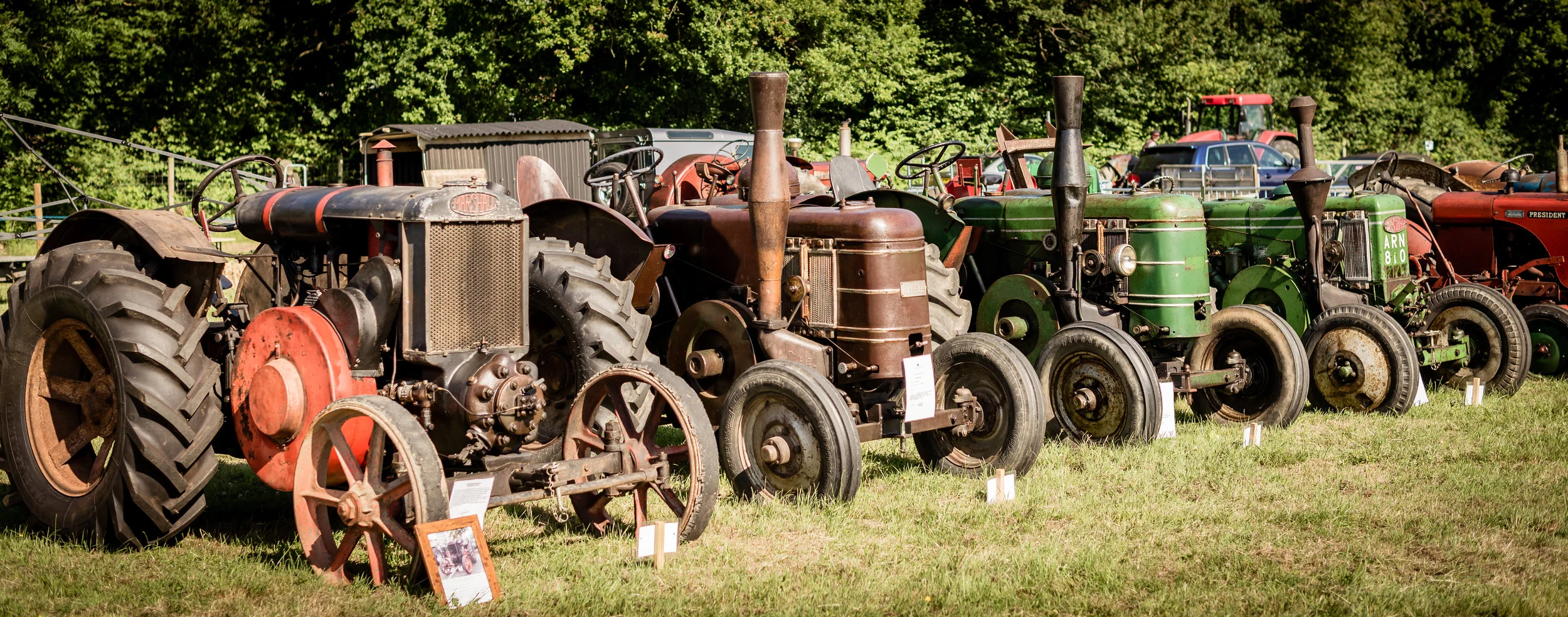 Cranleigh Show-8090.jpg