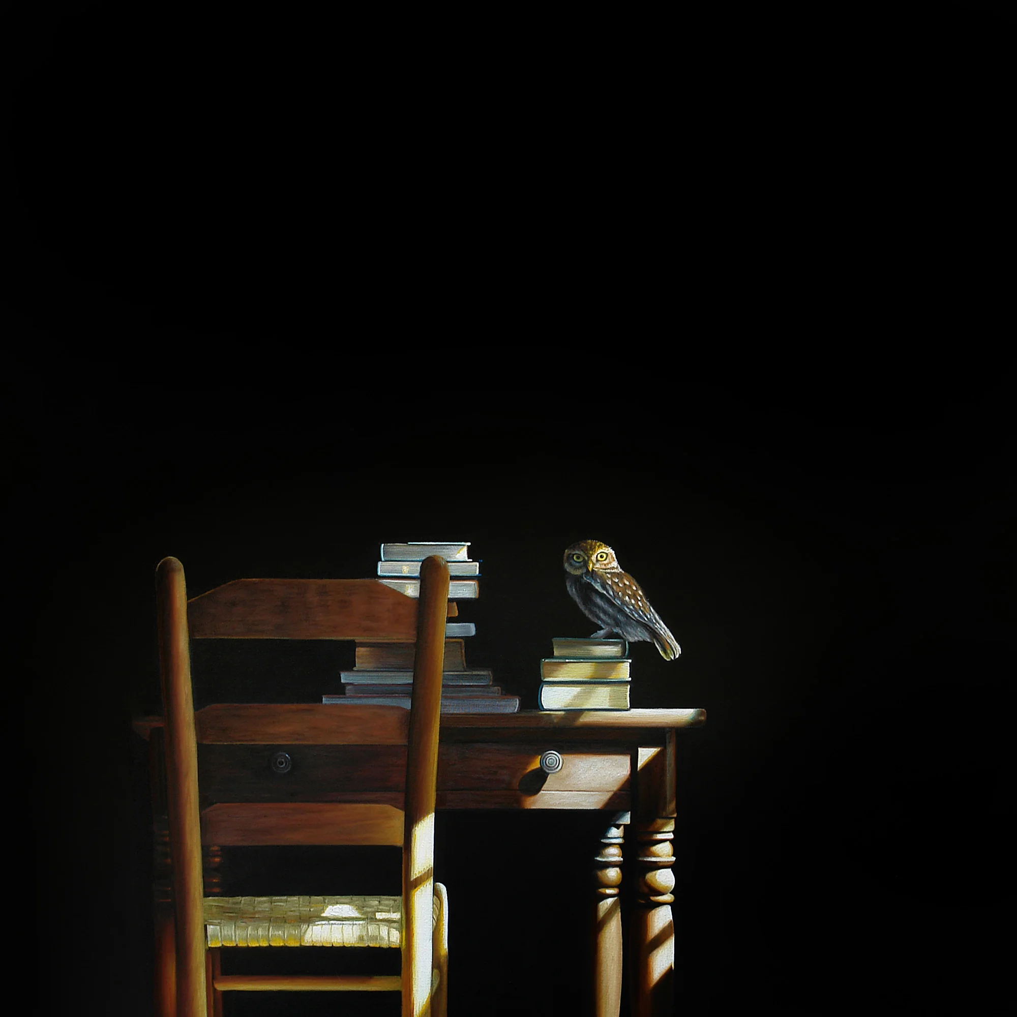 Night Owl | 36 x 36 | Oil on canvas