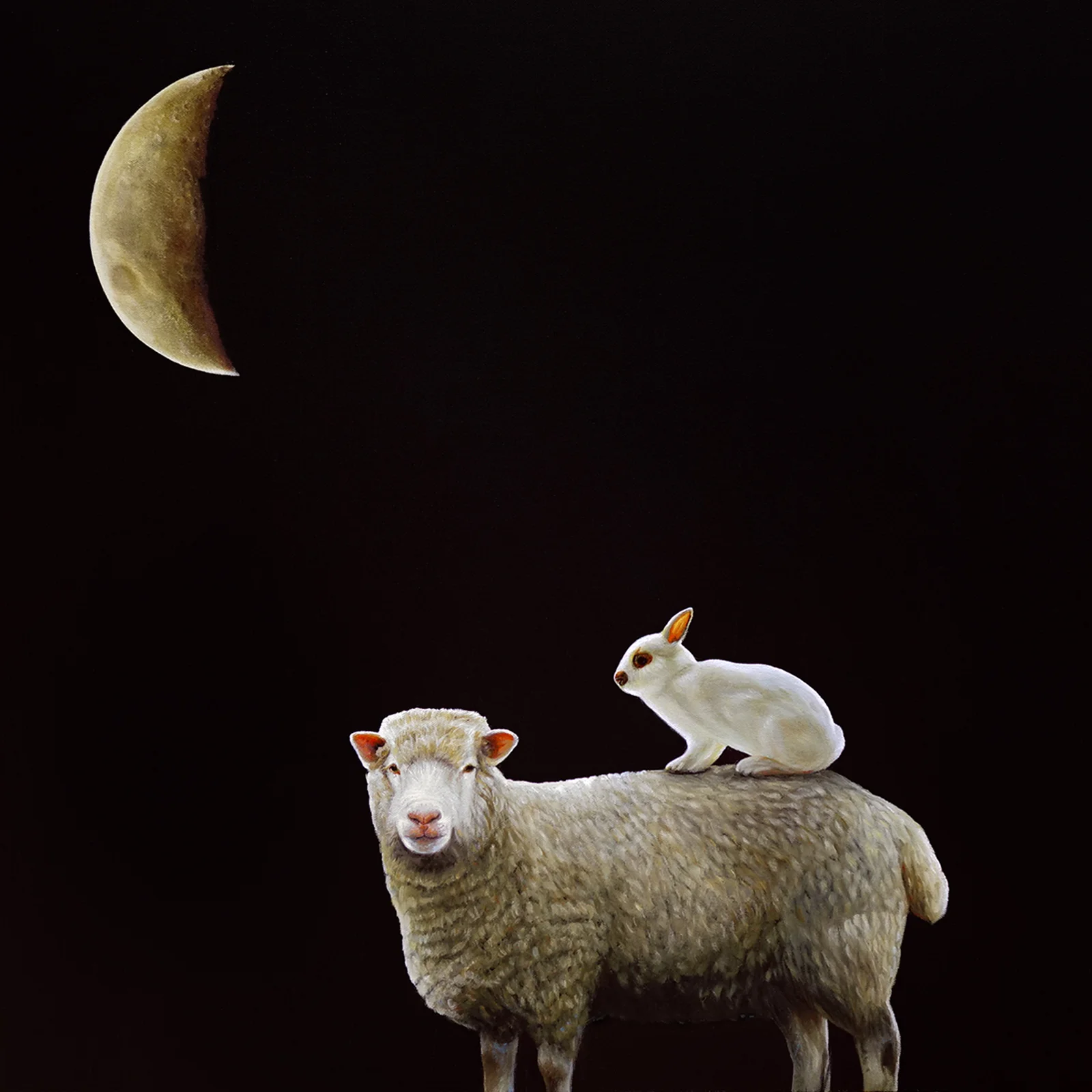 Free Ride | 30 x 30 | Oil on canvas