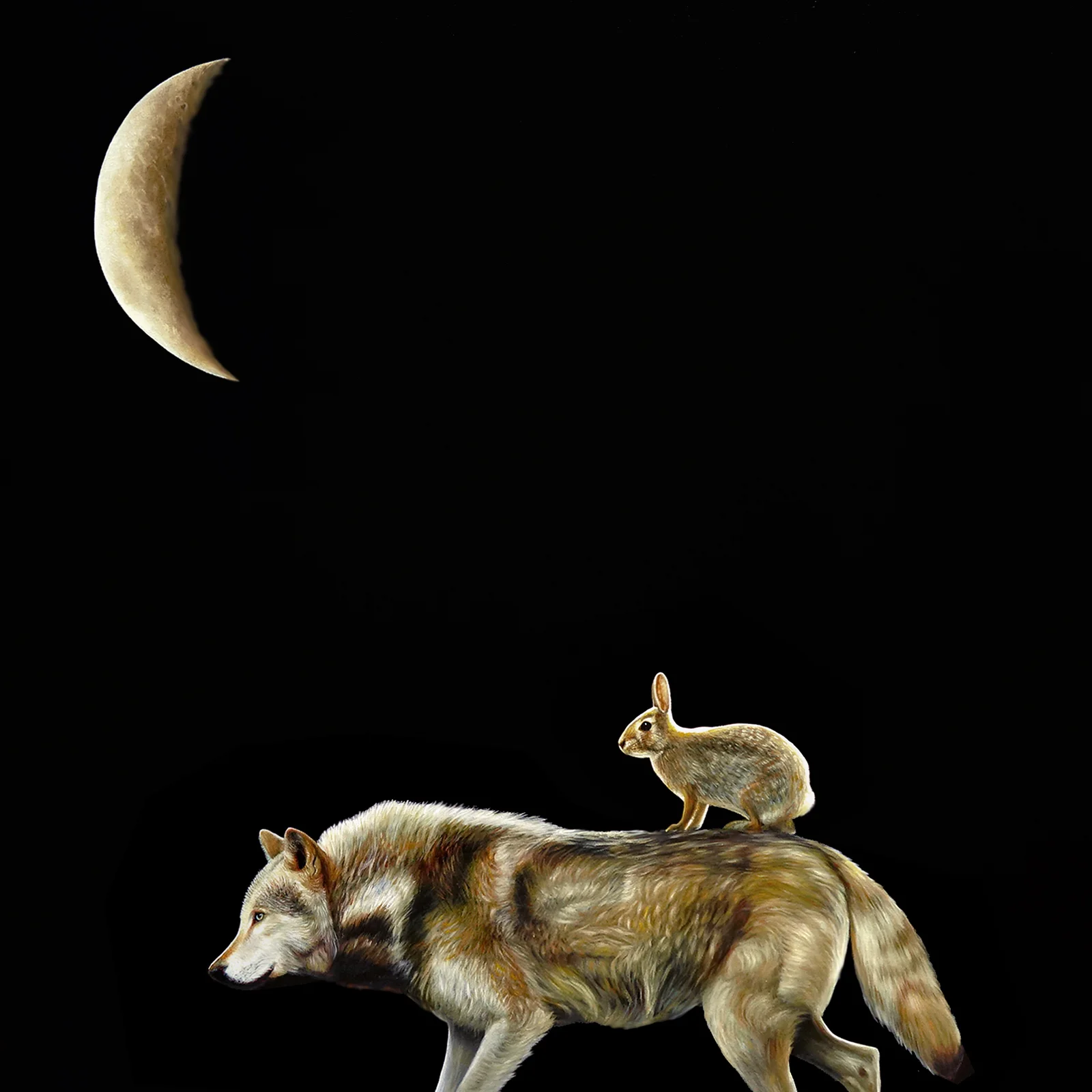 Unlikely Companions | 36 x 36 | Oil on canvas