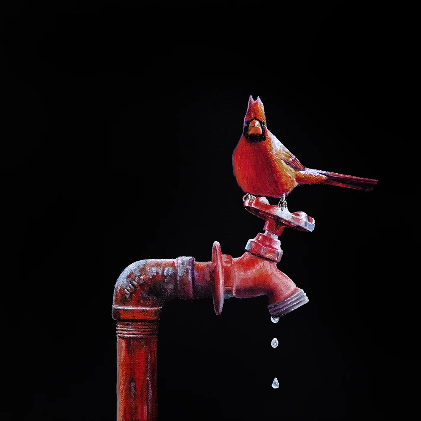 Lil Perch No. 52 | 12 x 12 | Oil on canvas