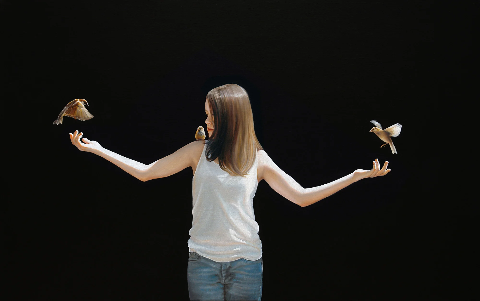 Wingspan | 30 x 48 | Oil on canvas