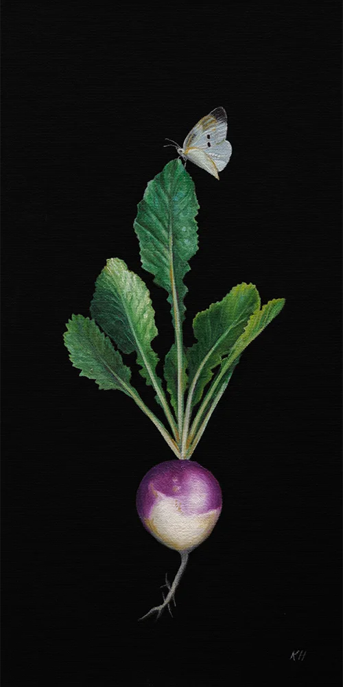 WFPB Turnip | 8 x 16 | Oil on canvas panel