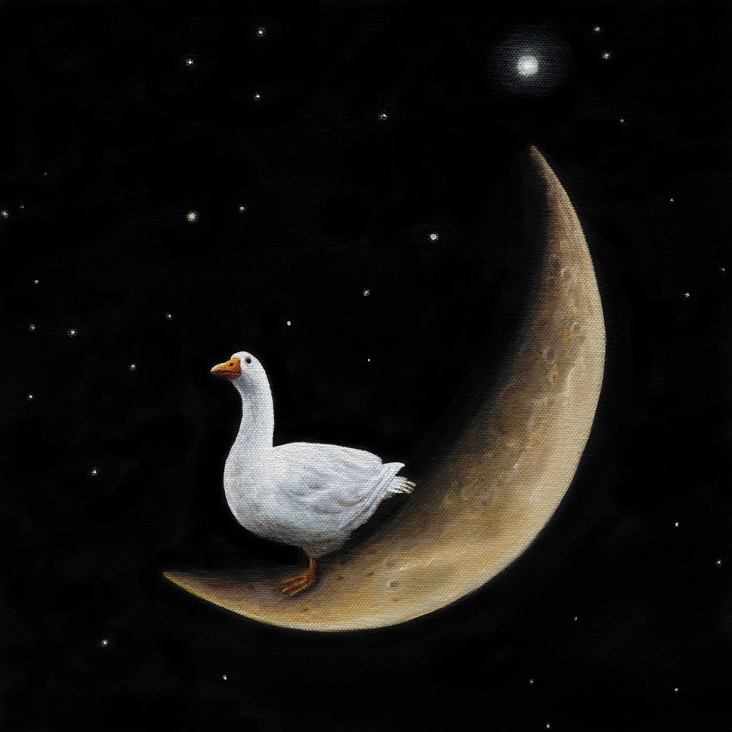 Crescent Goose | 12 x 12 | Oil on canvas