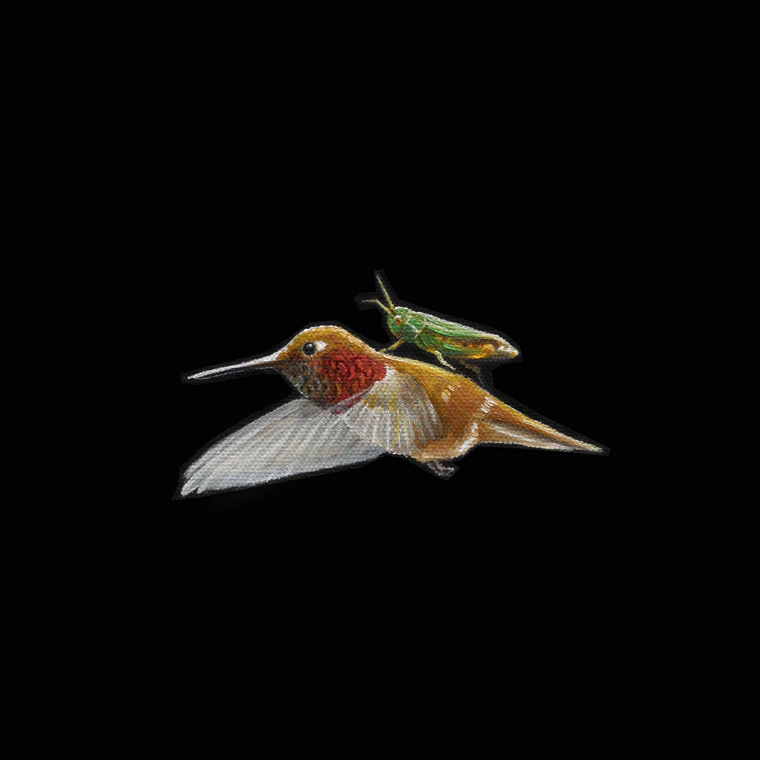 Grasshopper Hitcher | 8 x 8 | Oil on canvas
