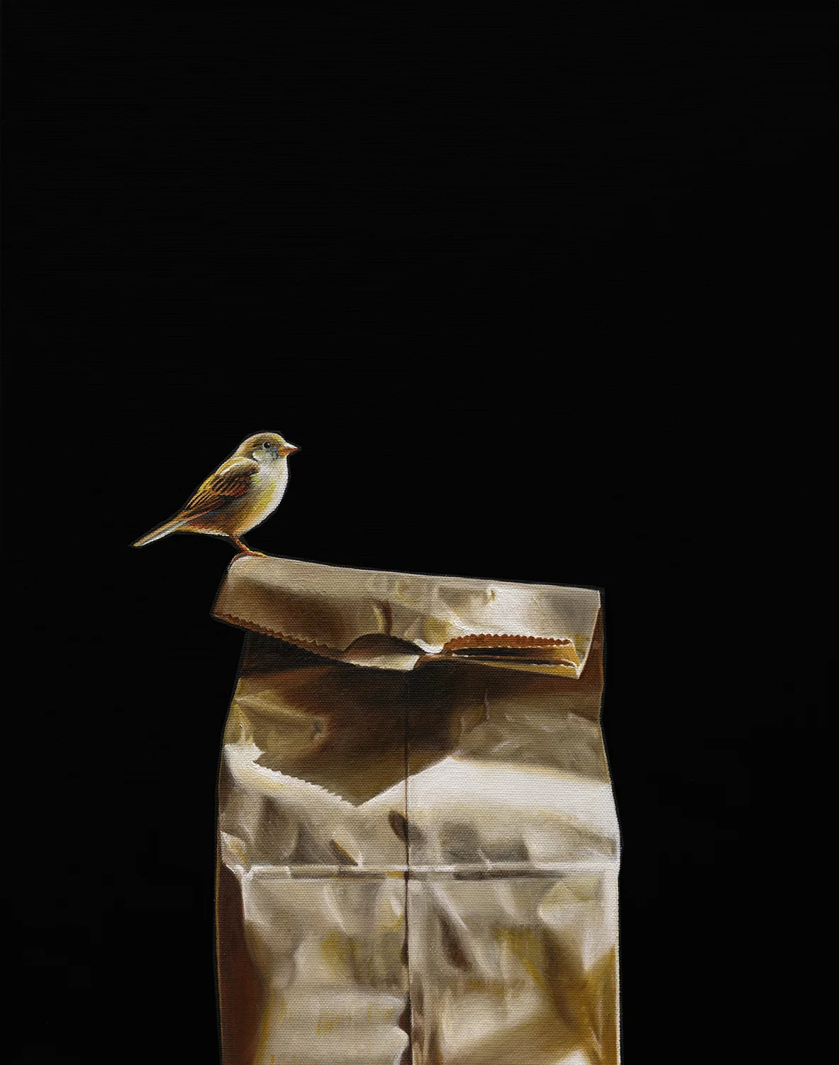 Unfolding No 2 | 14 x 18 | Oil on canvas