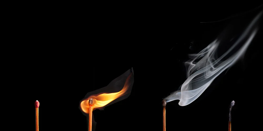 Flame | 8 x 16 | Oil on canvas