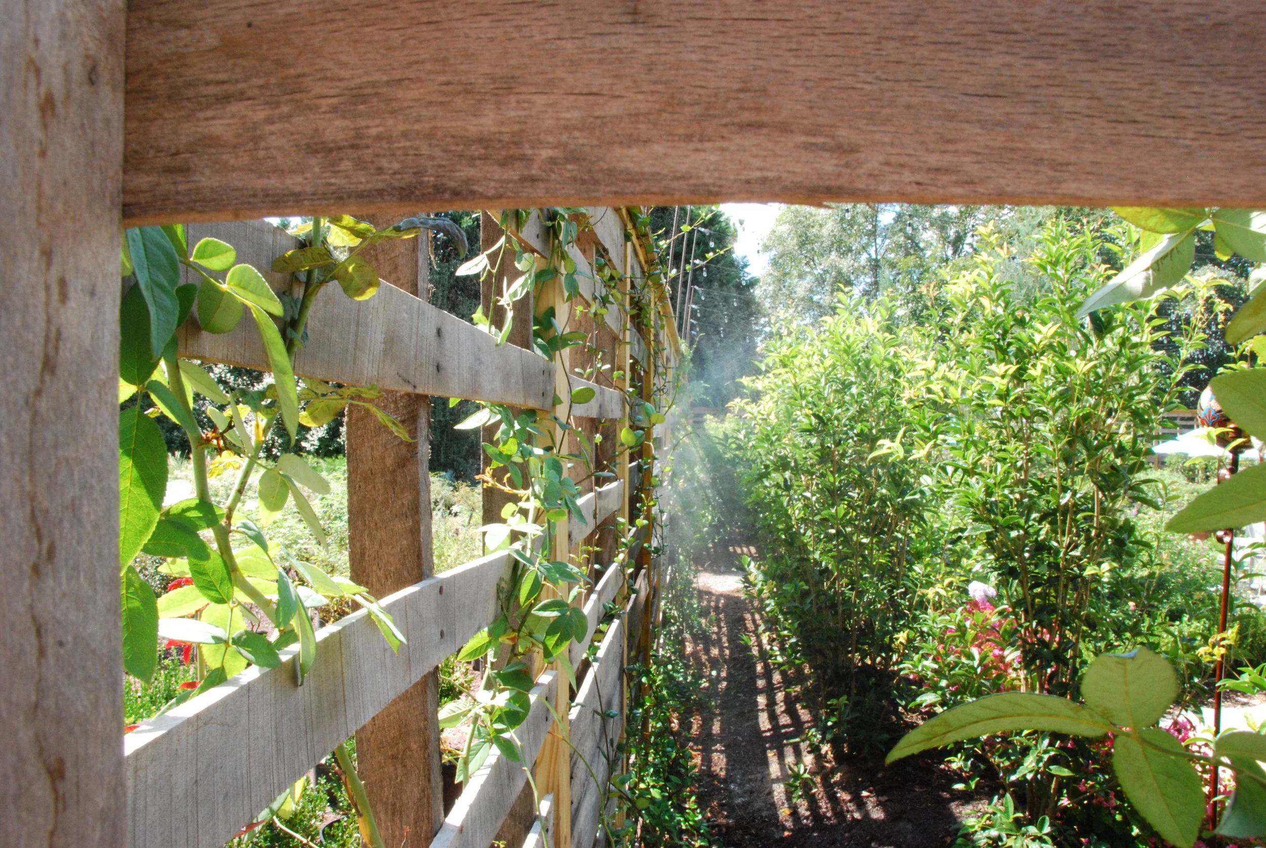 Wardle_Adriana_Depth_Deep - Copy.JPG