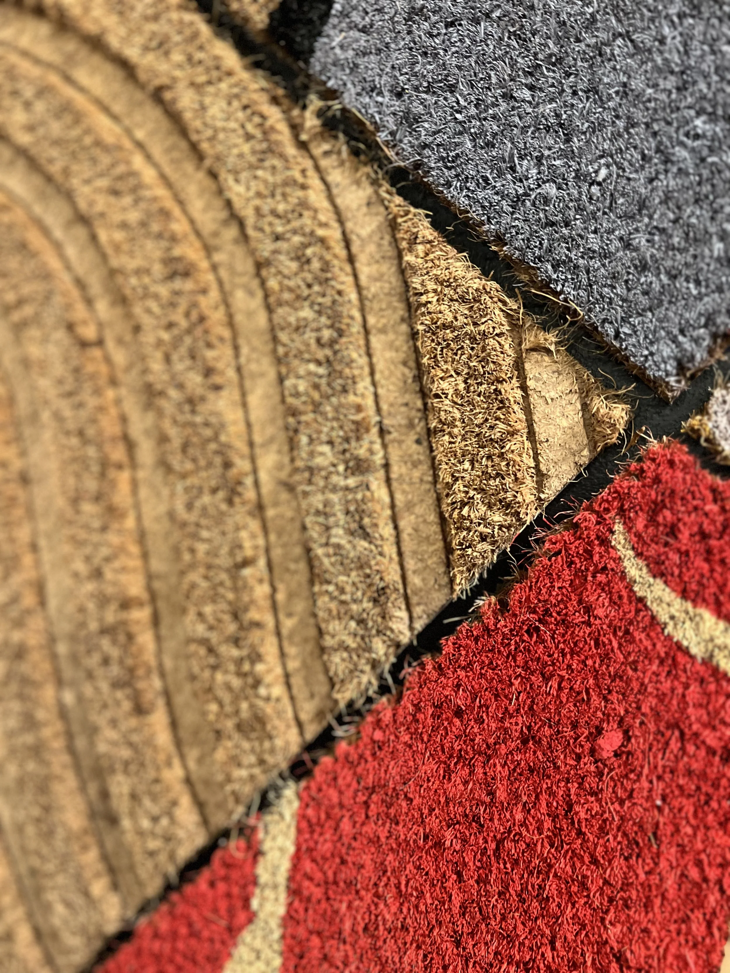 Beezer Detail for Social  (1).jpeg