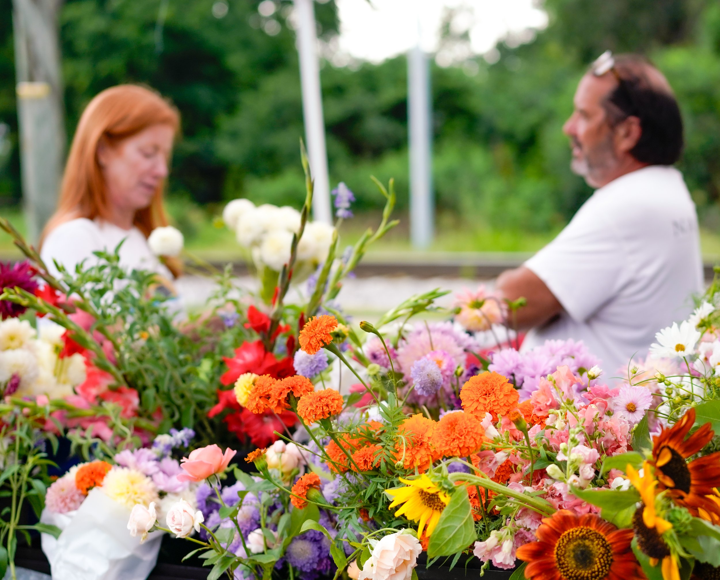 Photo Jun 27 2025, 5 03 13 PM.jpg