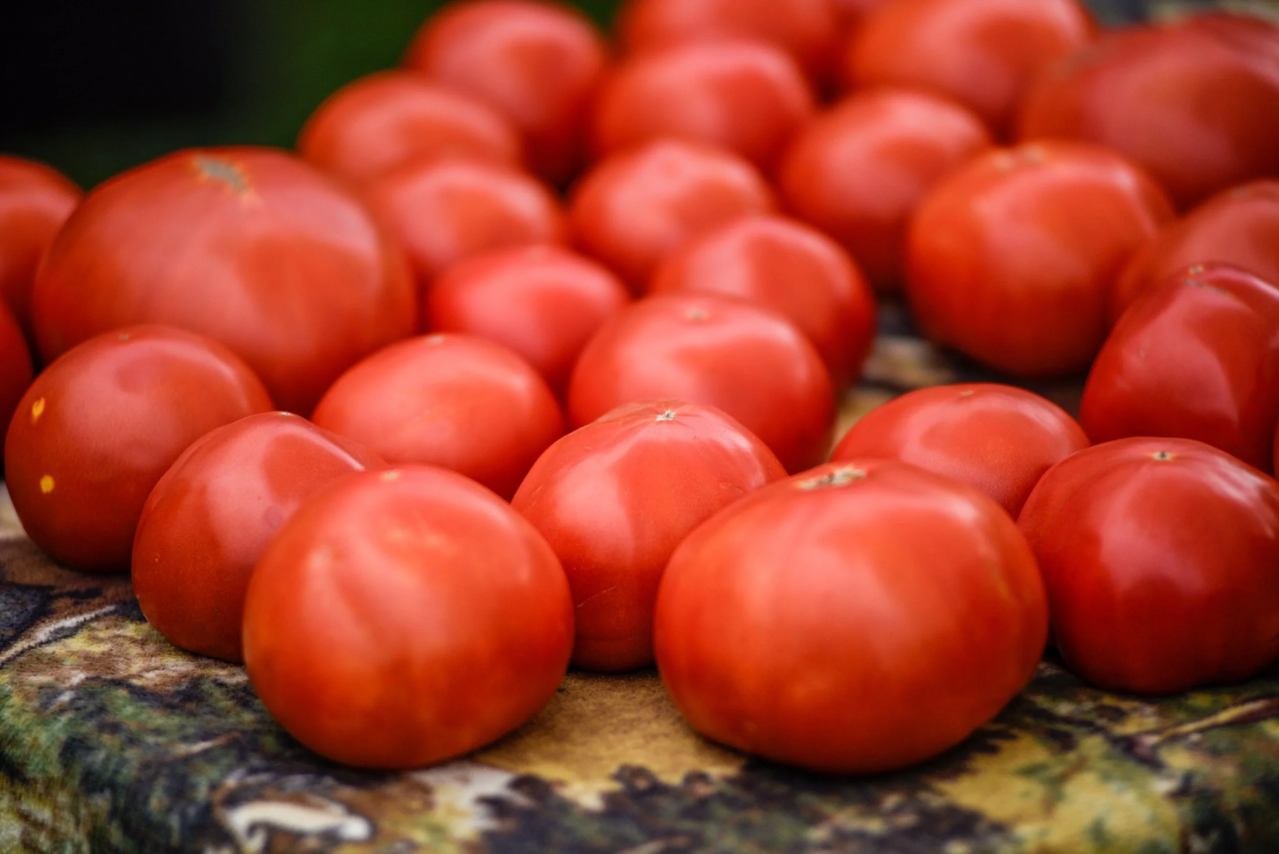 Photo Jun 27 2025, 4 24 17 PM.jpg