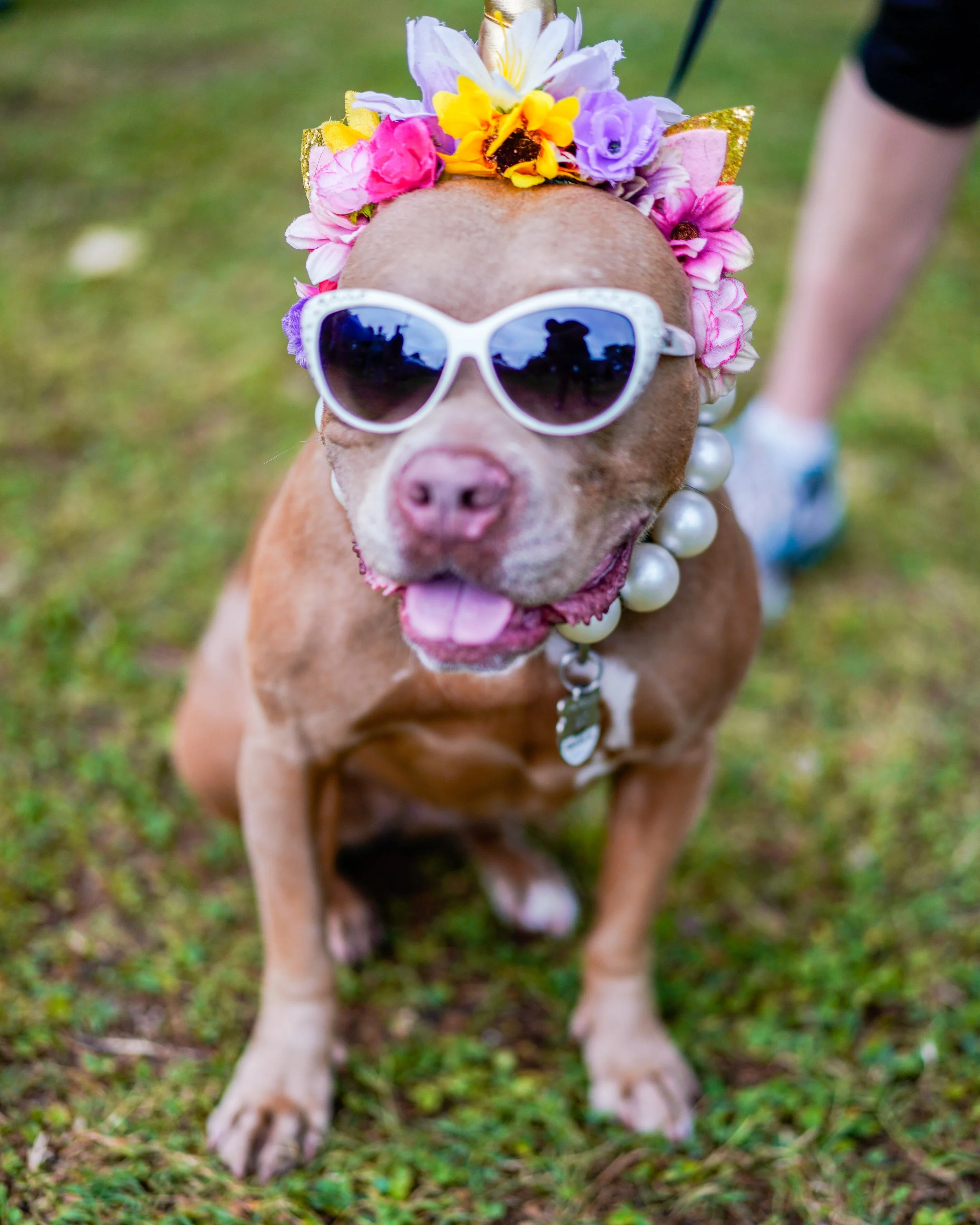 Photo Jun 27 2025, 5 22 19 PM.jpg