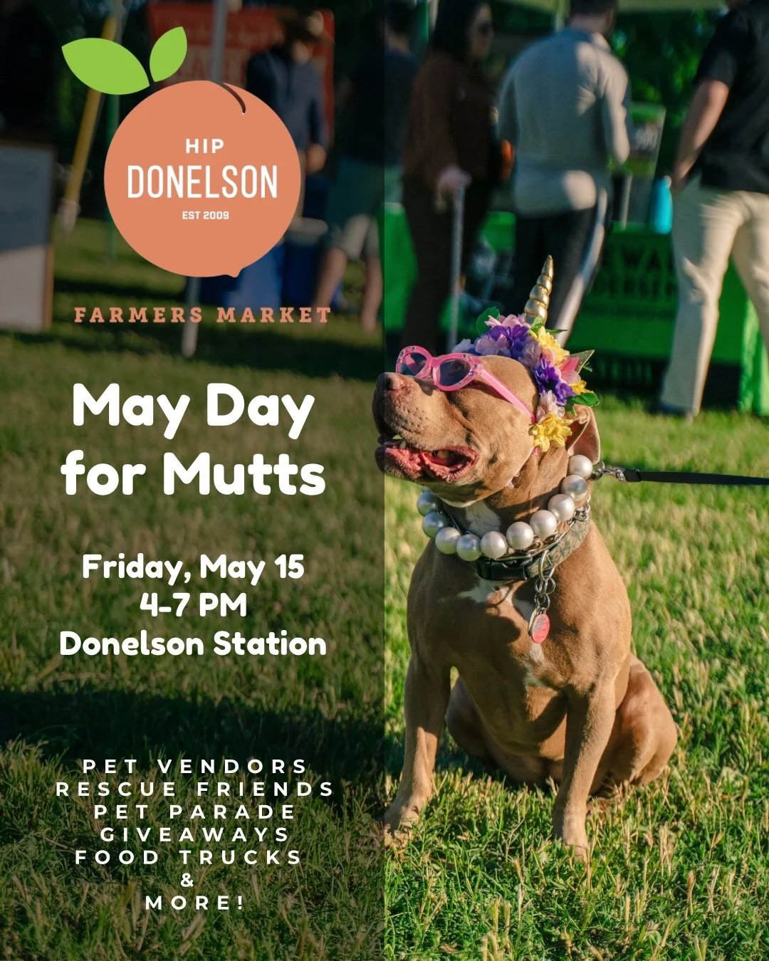 May Day for Mutts