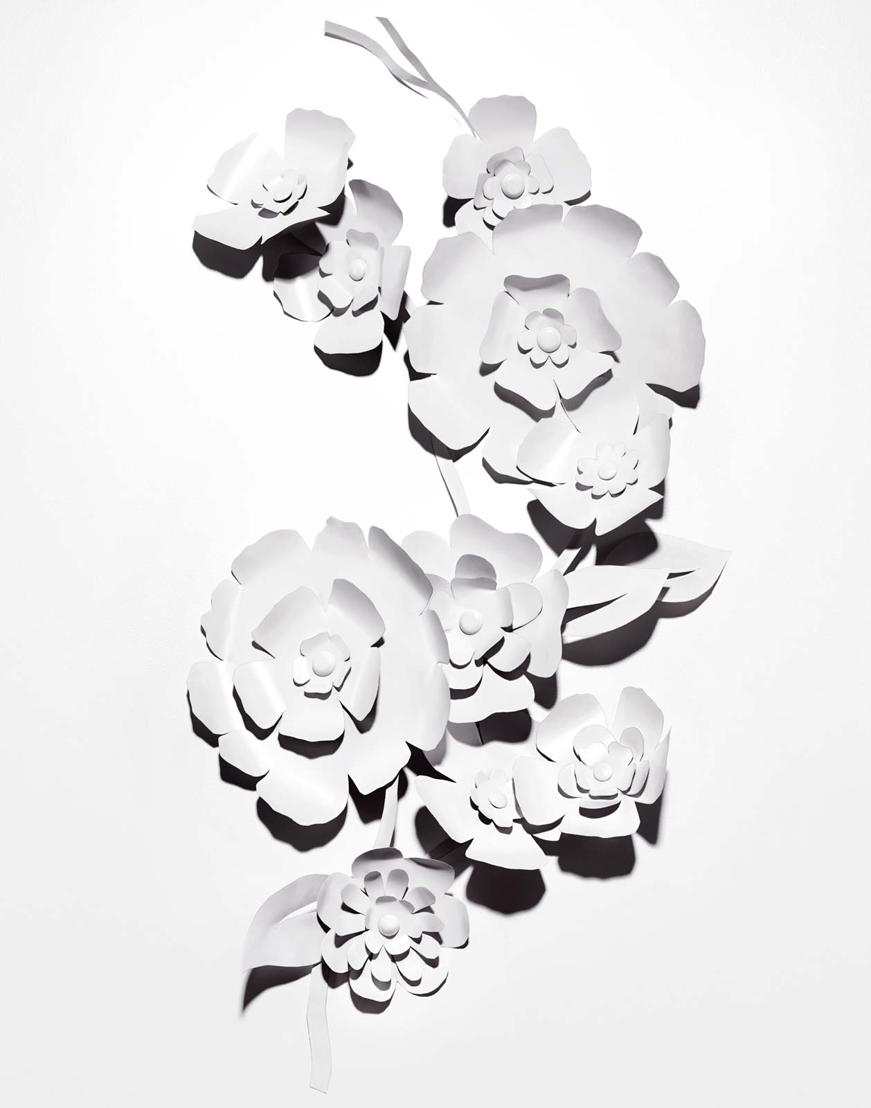 White-flower-1-W-Magazine.jpg