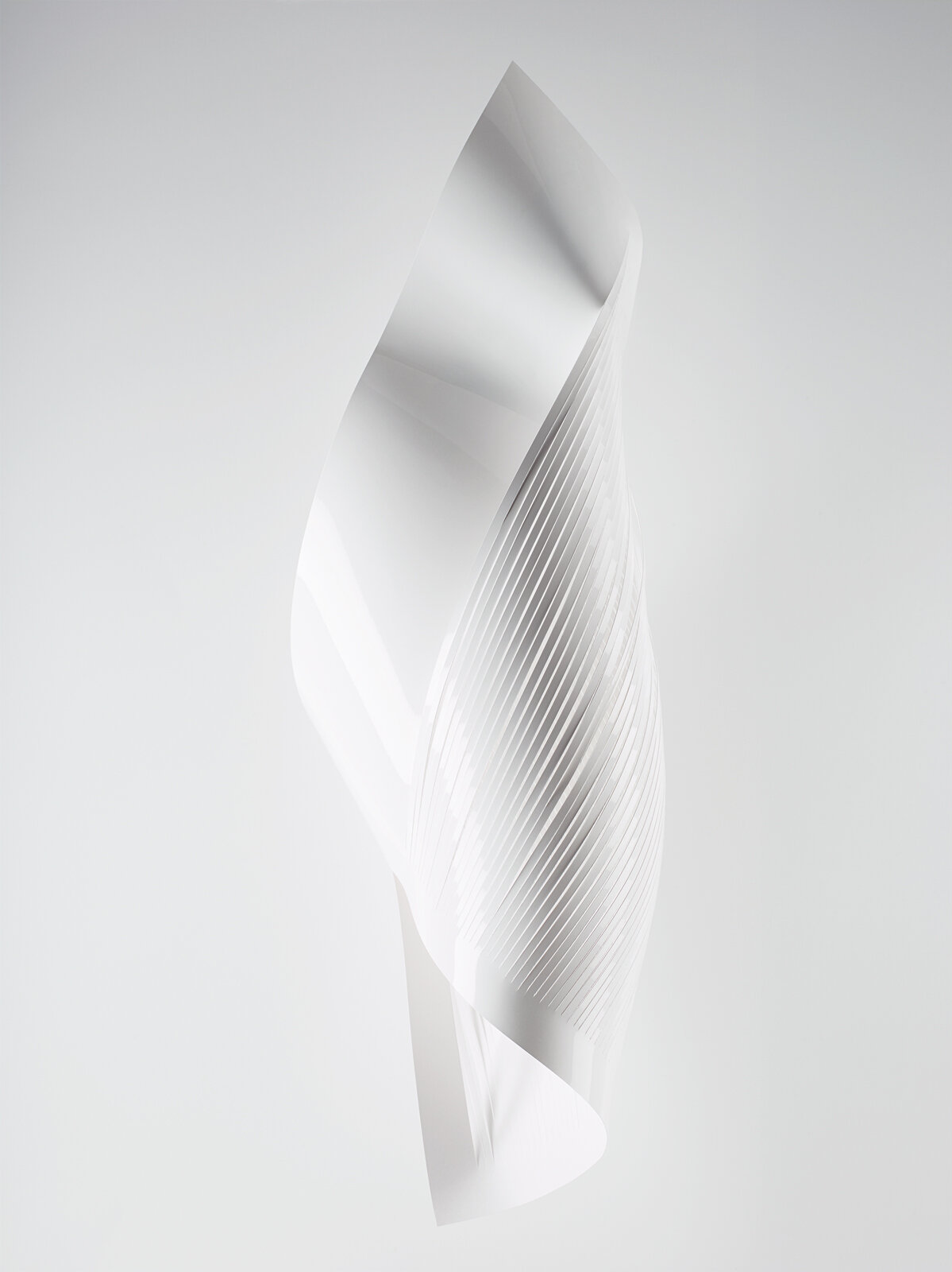 Paper-sculptures-white-Johanne-Mills-3.jpg