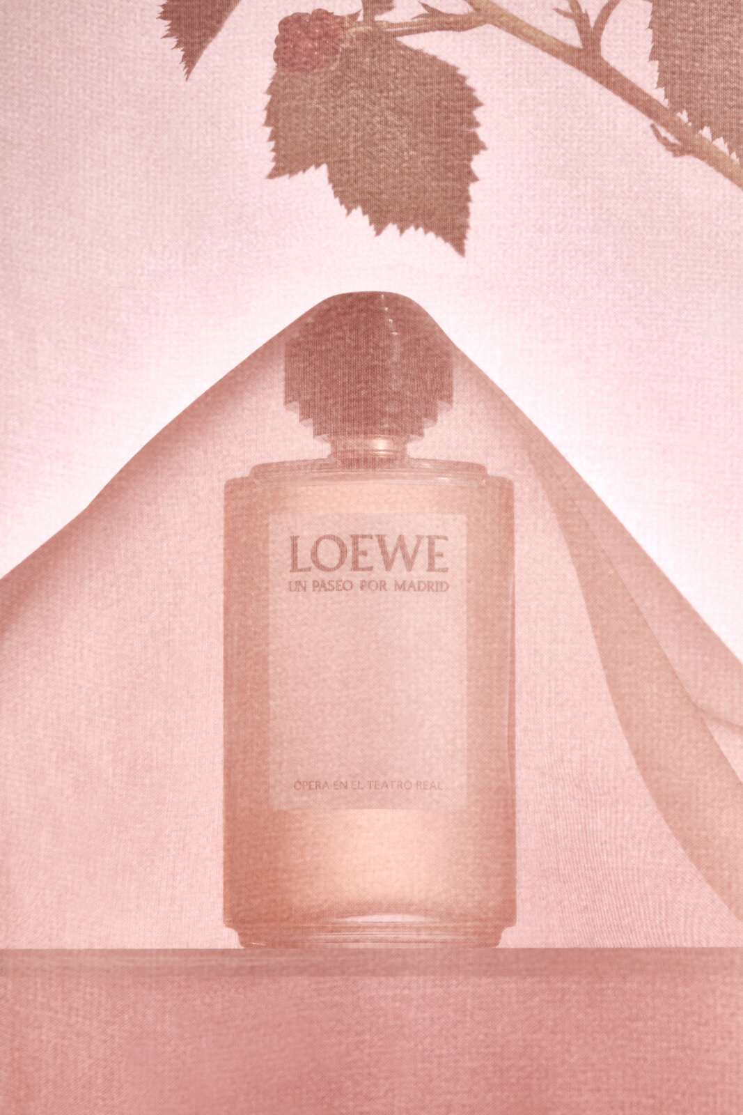 CL_Loewe_5b-Johanne-Mills.jpg