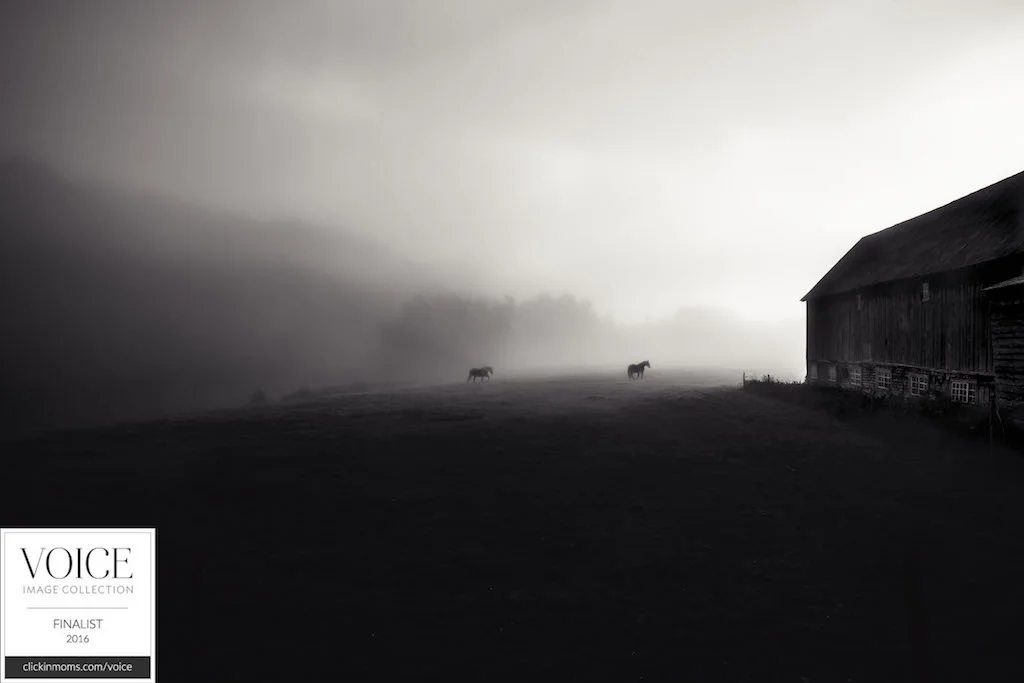 FINALIST, VOICE IMAGE COLLECTION 2016 , MOTHER NATURE CATEGORY