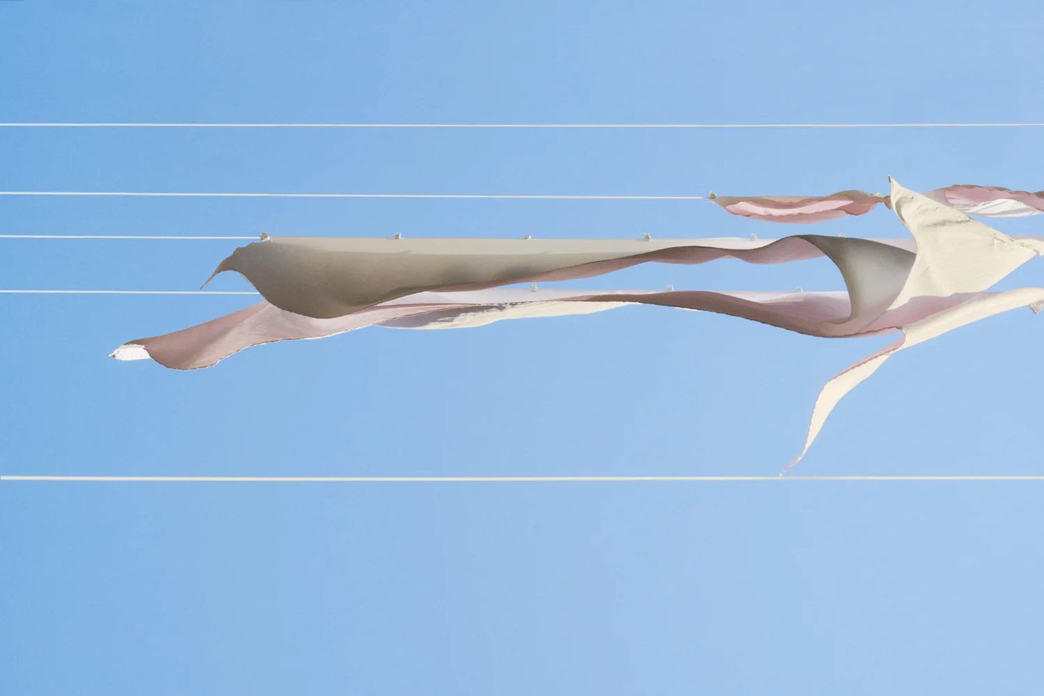 Zephyr, 2015