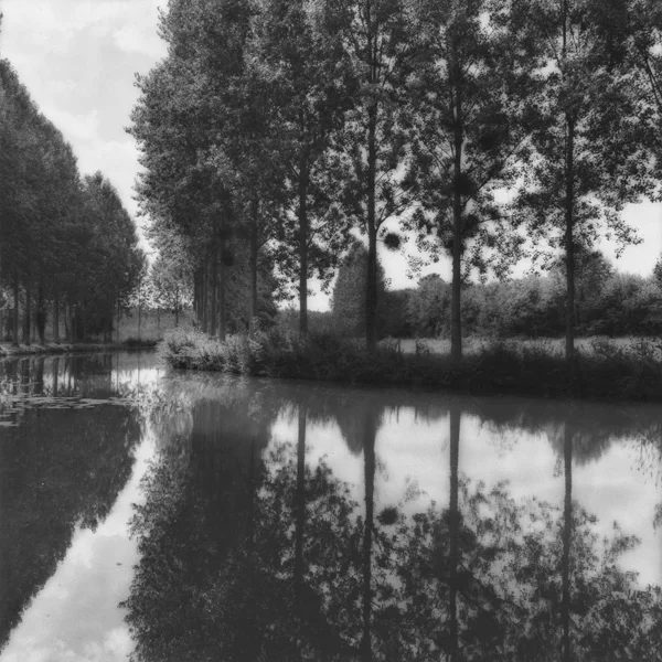 Montressor, 1988
