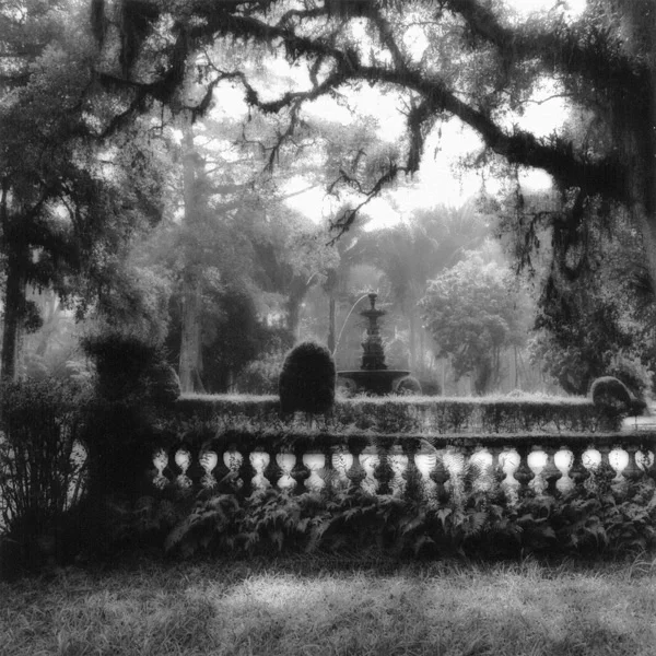 Rio, Botanical Garden #3. 1986