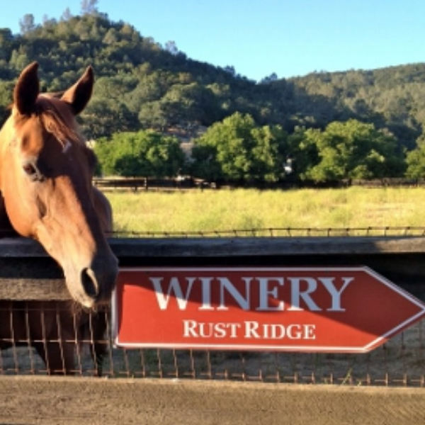 Rustridge Ranch and Winery - At the ranch, you can play tennis, bird watch, lounge in the sun, jog, relax in a eucalyptus sauna, barbecue, or hike to your hearts content through the vineyards and hills.