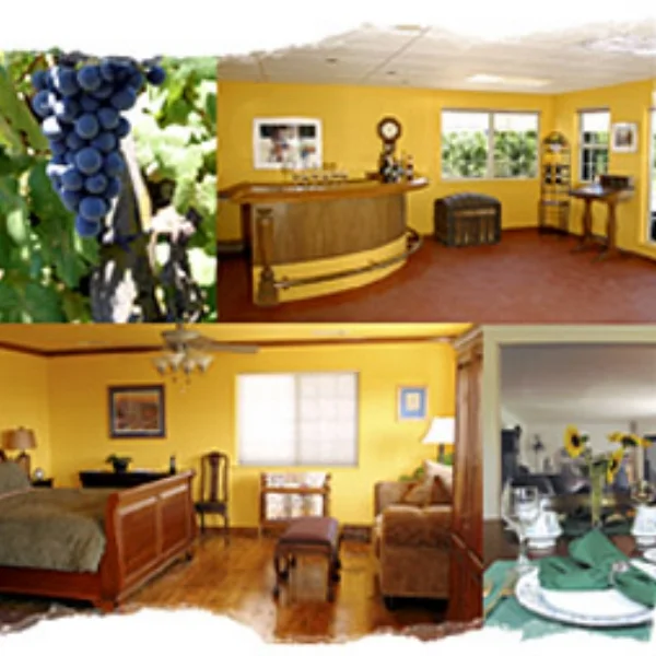 Cedar View Winery - Sequoia View Bed and Breakfast is an AgroBnb, located on 20 acres with an estate vineyard, is named for its panoramic views of nearby Sequoia and Kings Canyon National Parks. 