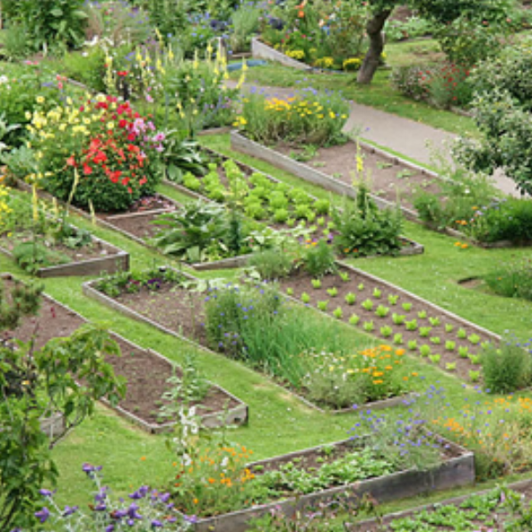 Stanford Inn - Nestled on a Mendocino Coast hillside, Stanford Inn, a Mendocino Resort, sits atop a meadow overlooking Mendocino Bay. Embodying the best of the rugged Mendocino Coast.