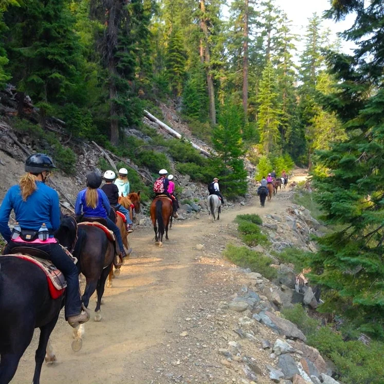 Coffee Creek Ranch -Coffee Creek Ranch was founded in 1900 surrounded by National Forest and the Trinity Alps wilderness area in Northern California. Its 367 acres lie along Coffee Creek.